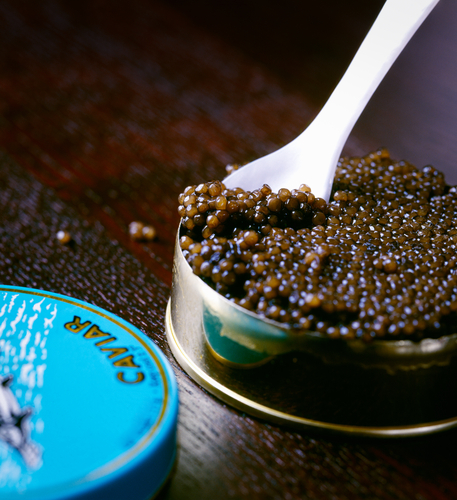 Vente de caviar origine Aquitaine Amiens (80)